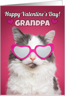 Happy Valentine’s Day Grandpa Cute Cat in Heart Sunglasses card