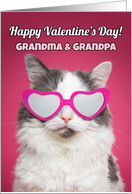 Happy Valentine’s Day Grandma & Grandpa Cute Cat in Heart Sunglasses card