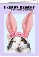 Happy Easter Grandmother Funny Cat in Bunny Ears card