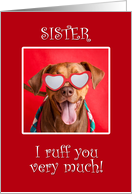 Happy Valentine’s Day Sister Pit Bull Dog in Heart Glasses card