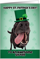Happy St. Patrick’s Day Sister Funny Dog in Green Hat card