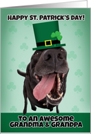 Happy St. Patrick’s Day Grandma & Grandpa Dog in Green Hat card