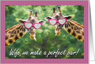 Happy Valentine’s Day Wife Funny Giraffe Pair card