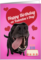 Happy Birthday on Valentine’s Day Cute Dog With Cake card