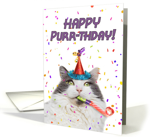 Happy (Purr-thday) Birthday For Anyone Funny Cat in Part... (1555446)