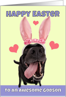 Happy Easter Godson Name Dog in Bunny Ears Humor card