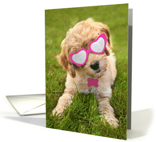 Happy Valentine's Day For Anyone Cute Goldendoodle Puppy Humor card