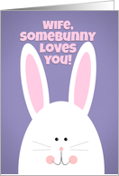 Happy Easter Wife SomeBunny Loves You card