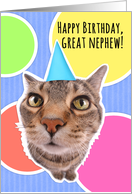 Happy Birthday Great Nephew Cute Cat in Party Hat card