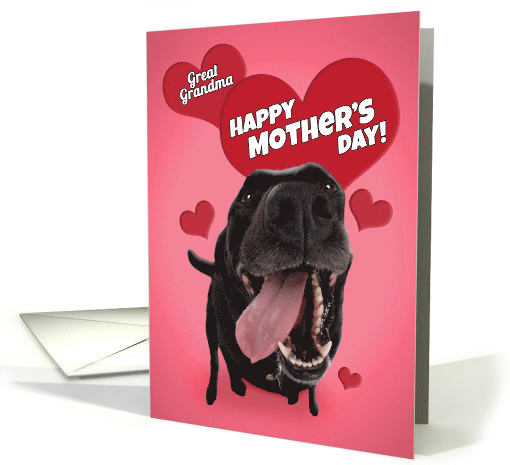 Happy Mother's Day Great Grandma Cute Black Lab with Hearts Humor card