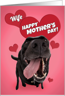 Happy Mother’s Day Wife Cute Black Lab with Hearts Humor card