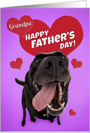 Happy Father’s Day Grandpa Cute Black Lab with Hearts Humor card