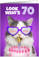 Happy Birthday 70 Year Old Cute Cat WIth Cake Humor card