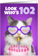 Happy Birthday 102 Year Old Cute Cat WIth Cake Humor card