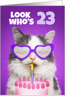 Happy Birthday 23 Year Old Cute Cat WIth Cake Humor card