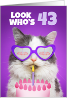 Happy Birthday 43 Year Old Cute Cat WIth Cake Humor card