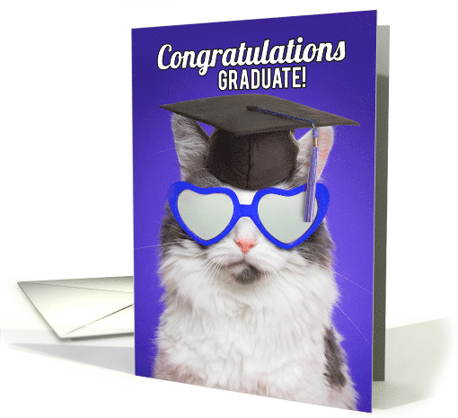 Congratulations Graduate For Anyone Cute Cat in Grad Cap Humor card