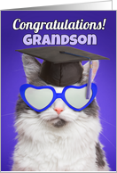 Congratulations Graduate Grandson Cute Cat in Grad Cap Humor card