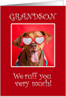 Happy Valentine’s Day Grandson Pit Bull Dog in Heart Glasses card