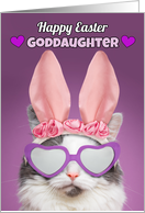 Happy Easter Goddaughter Cat in Bunny Ears Humor card