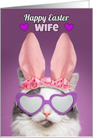 Happy Easter Wife Cat in Bunny Ears Humor card