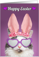 Happy Easter For Anyone Cat in Bunny Ears Humor card