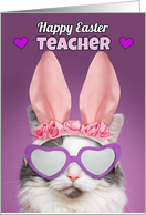 Happy Easter Teacher Cat in Bunny Ears Humor card