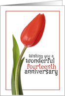 Happy 14th Anniversary Beautiful Red Tulip card