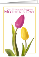 Happy Mother’s Day Wife and Best Friend Beautiful Tulips card