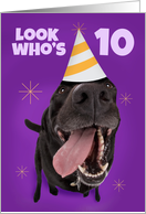 Happy 10th Birthday Funny Dog in Party Hat Humor card