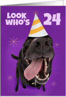 Happy 24th Birthday Funny Dog in Party Hat Humor card
