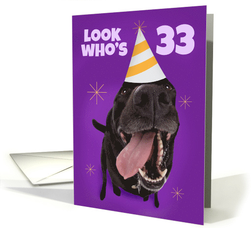 Happy 33rd Birthday Funny Dog in Party Hat Humor card (1565928)