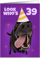 Happy 39th Birthday Funny Dog in Party Hat Humor card