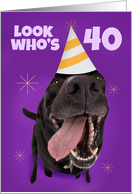 Happy 40th Birthday Funny Dog in Party Hat Humor card