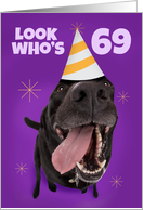 Happy 69th Birthday Funny Dog in Party Hat Humor card