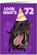 Happy 72nd Birthday Funny Dog in Party Hat Humor card