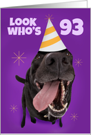Happy 93rd Birthday Funny Dog in Party Hat Humor card