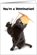 Congratulations Veterinarian Graduate Cat in Grad Cap Humor card