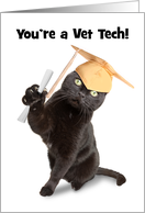 Congratulations Vet Tech Graduate Cat in Grad Cap Humor card