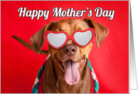 Happy Mother’s Day Cute Pit Bull Dog in Heart Glasses Humor card