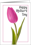 Happy Mother’s Day Pretty Pink Tulip card