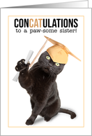 Congratulations Graduate Sister Funny Cat Puns Humor card