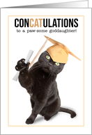 Congratulations Graduate Goddaughter Funny Cat Puns Humor card