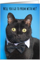 Will You Go To Prom Cat Humor card