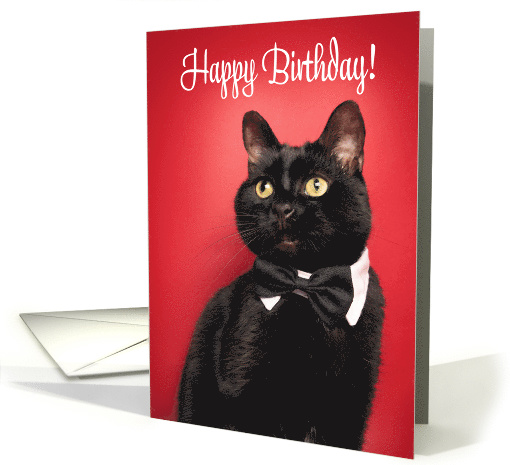 Happy Birthday For Anyone Class Act Cat Humor card (1569356)