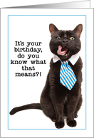 Happy Birthday From All of Us Business Cat Humor card