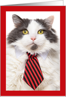Happy Father’s Day Big Cat in Tie Humor card