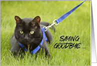 You Will Be Missed Cat on Leash Humor card