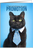 Congratulations on You Promotion Cat in Tie Humor card