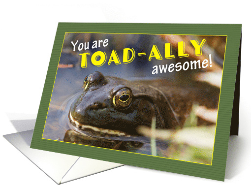 Congratulations You Are Toad-ally Awesome Humor card (1572048)